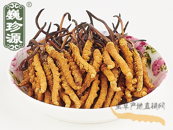 那曲冬蟲夏草3條/克 中期草 精選貨