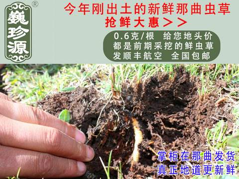 rxĲrxݣΡԴ0.6/^rxĲڳ^rx