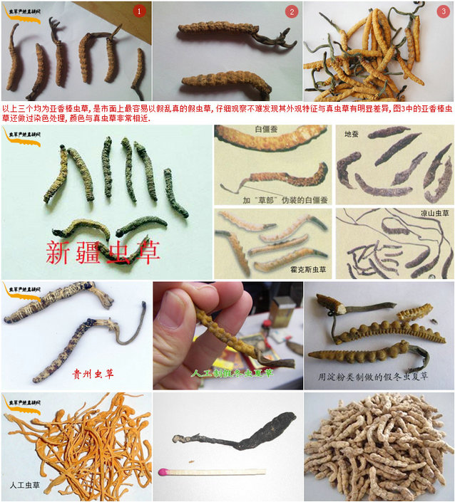 x(chng)݈DƬ,ٶx(chng)Ĳݵ^,x(chng)ݵĘ,Nٶx(chng)ĲݵĈDƬչʾ